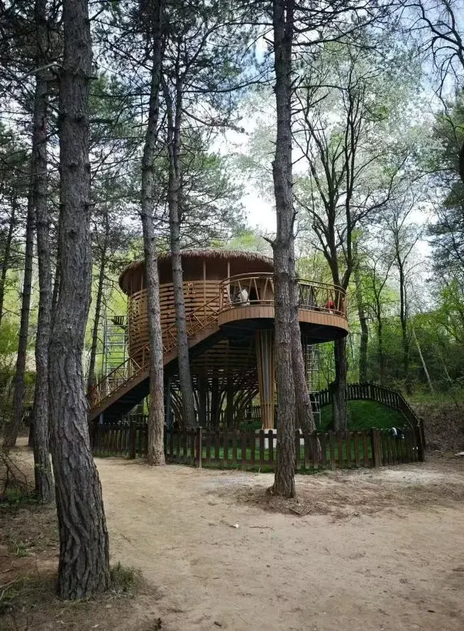 森林内以圆形木格栅房屋和木梯形成的旅居单元