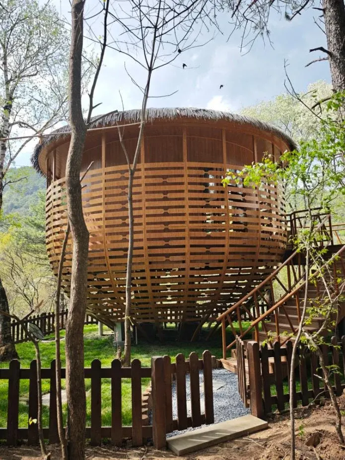 自然林地内立于架空平台上的木质格栅小屋